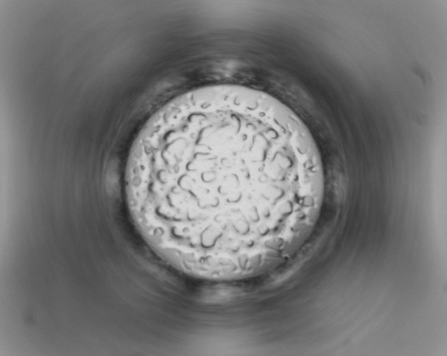 X0000113620754200910161953