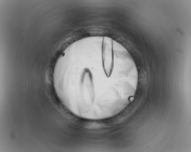 X0000113620755200910161953