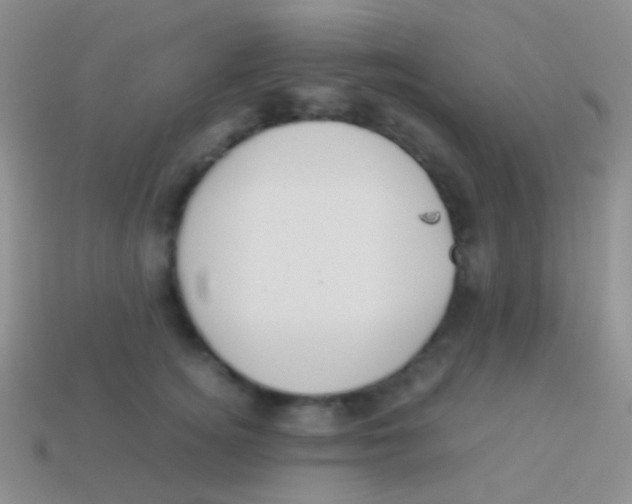 X0000113620756200910161953