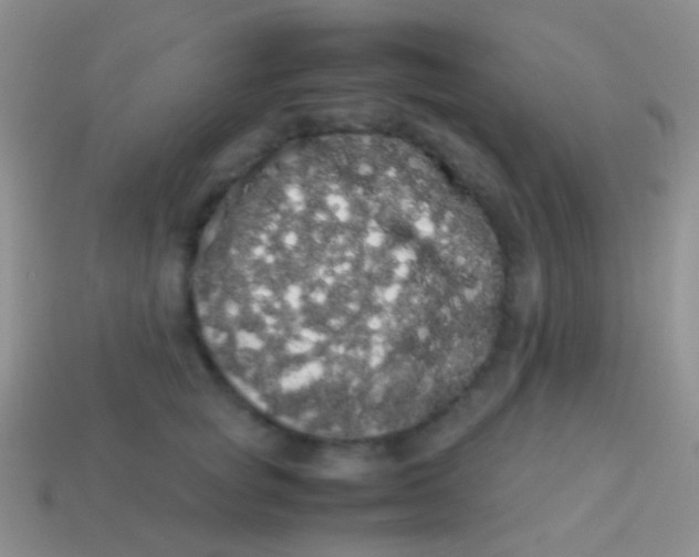 X0000113620757200910161953