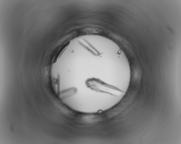 X0000113620759200910161953