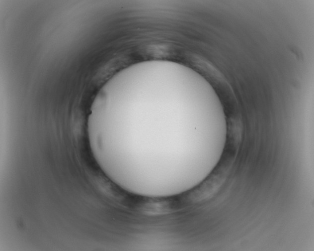 X0000113620760200910161953