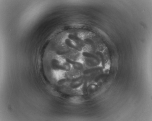X0000113620761200910161953