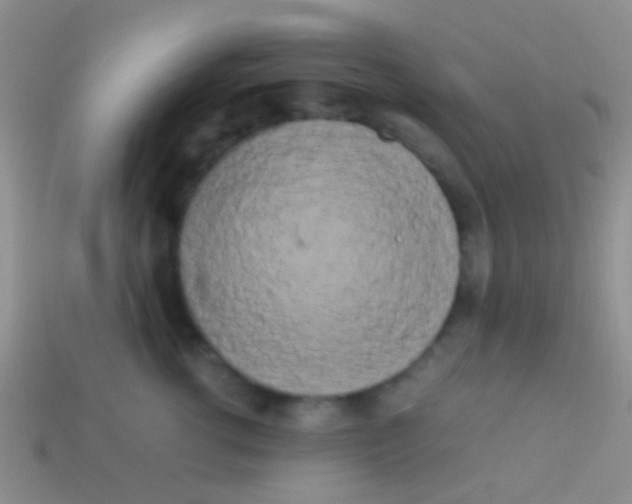 X0000113620762200910161953