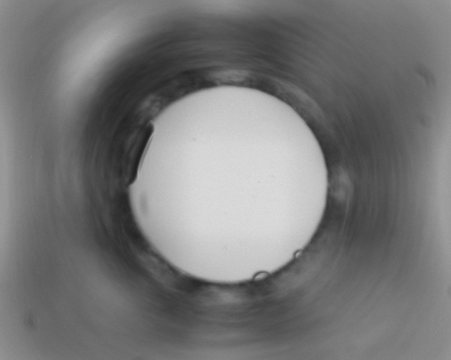 X0000113620763200910161953