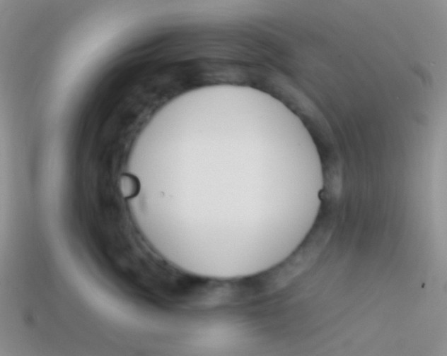 X0000113620764200910161953