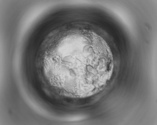 X0000113620765200910161953