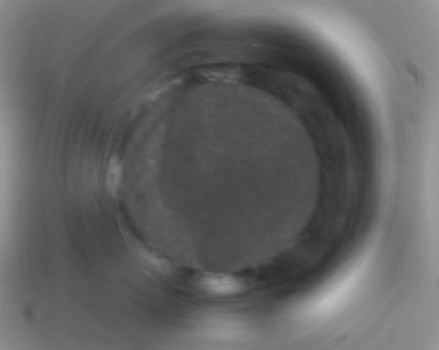 X0000113620767200910161953