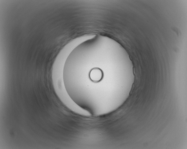 X0000113620768200910161953