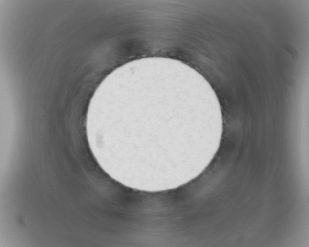 X0000113620769200910161952