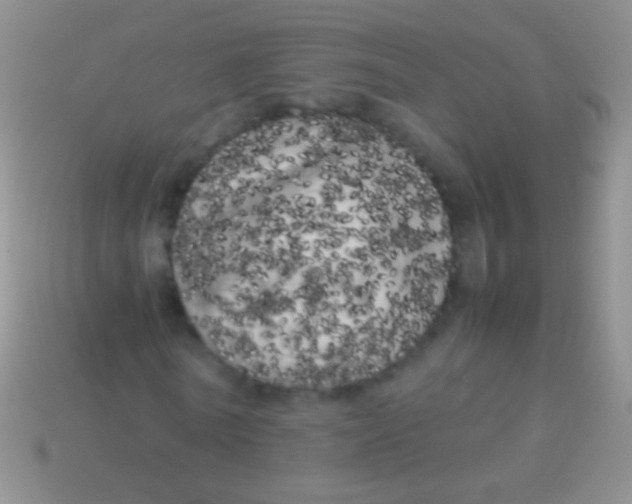 X0000113620770200910161952