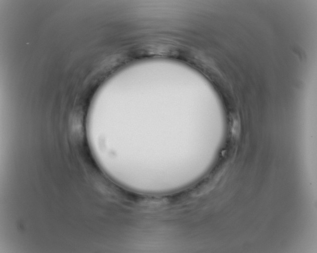 X0000113620771200910161952