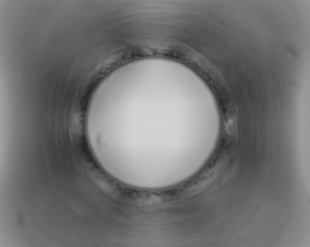 X0000113620772200910161952