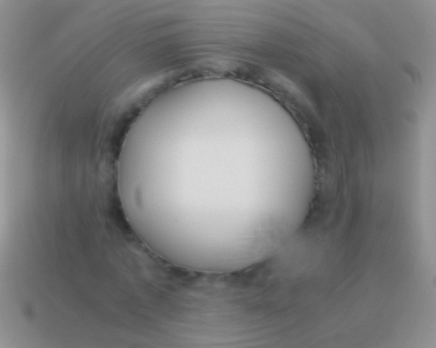 X0000113620773200910161952