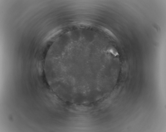 X0000113620774200910161952
