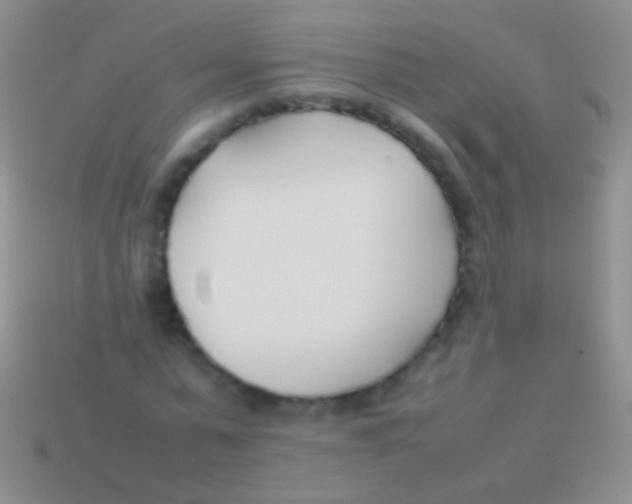 X0000113620775200910161952
