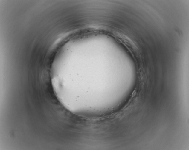 X0000113620776200910161952