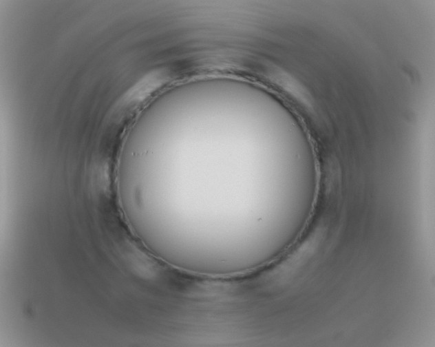 X0000113620777200910161952