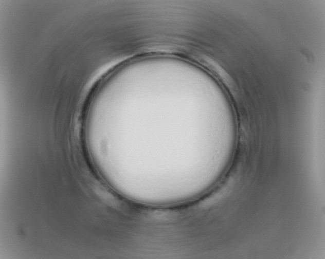 X0000113620779200910161952
