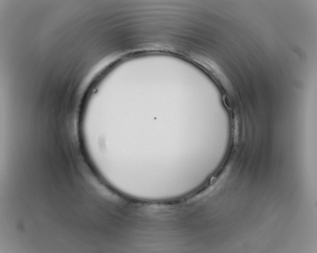 X0000113620780200910161952