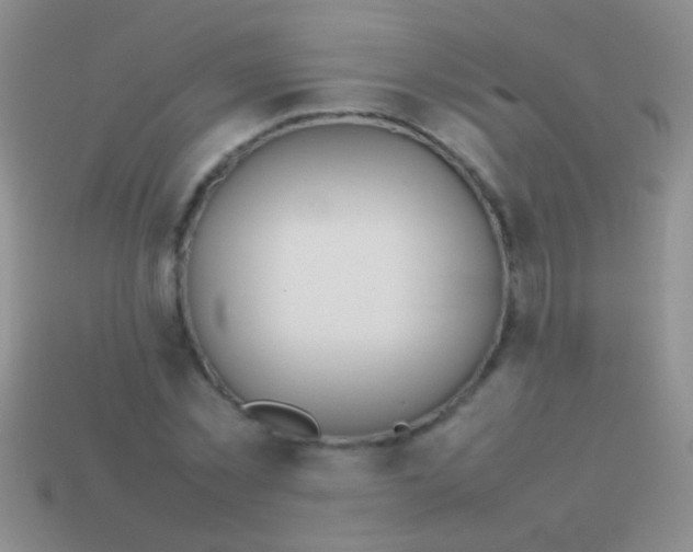 X0000113620781200910161952