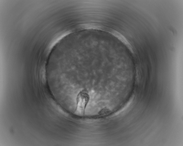X0000113620782200910161952