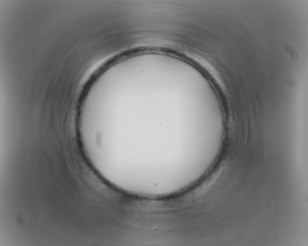 X0000113620783200910161952