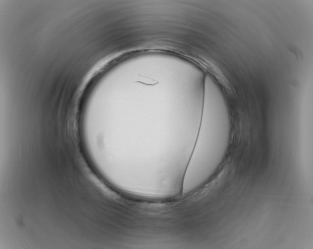 X0000113620784200910161952