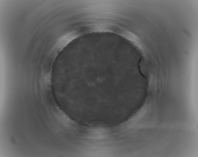 X0000113620785200910161952