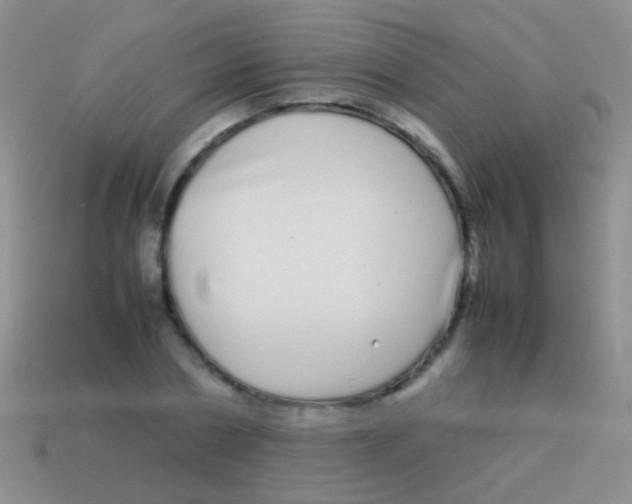 X0000113620786200910161952
