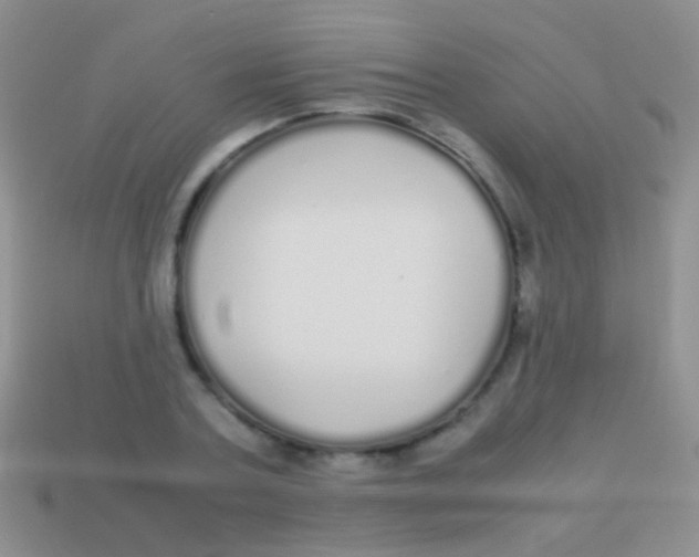 X0000113620787200910161952