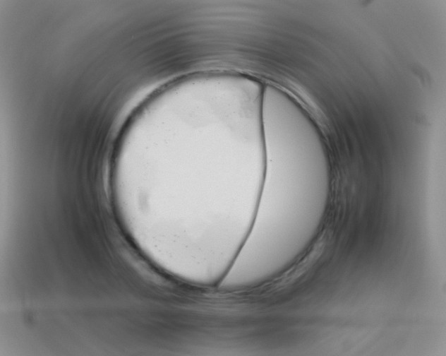 X0000113620788200910161952