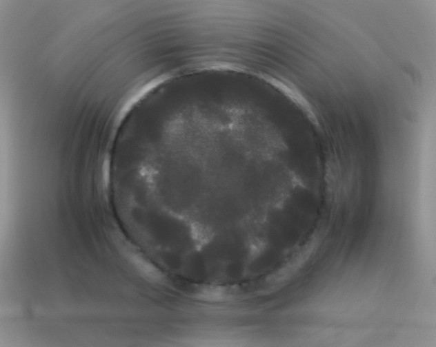 X0000113620790200910161952
