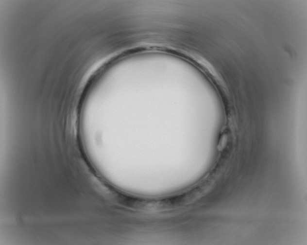 X0000113620791200910161952
