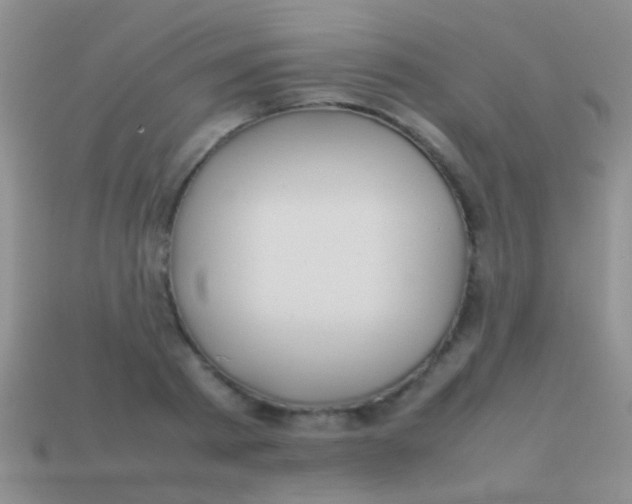 X0000113620793200910161952