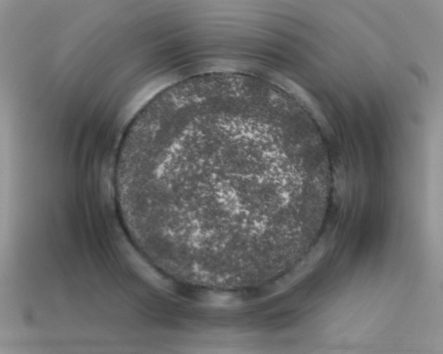 X0000113620794200910161952