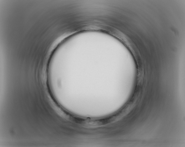 X0000113620795200910161952
