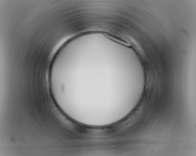 X0000113620796200910161951