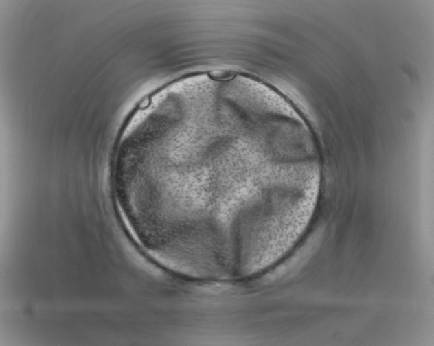 X0000113620797200910161951