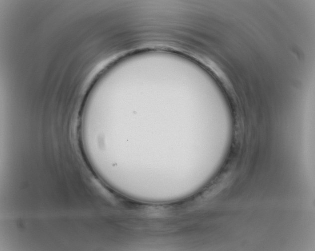 X0000113620799200910161951