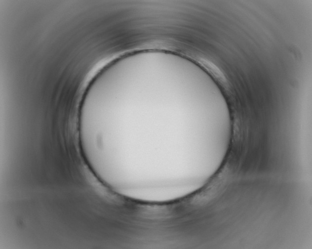 X0000113620800200910161951