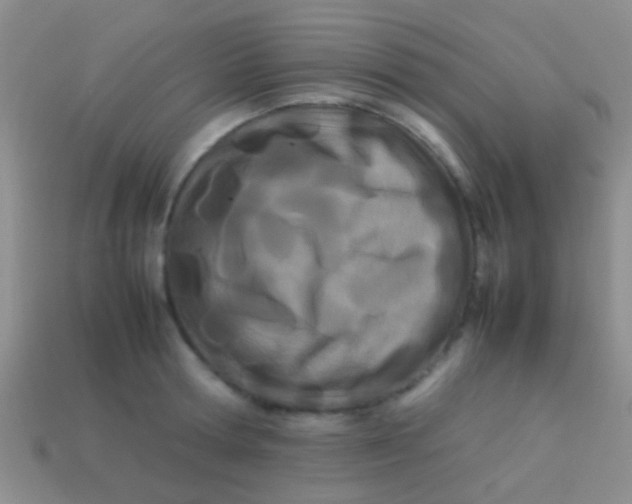 X0000113620802200910161951