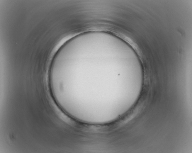X0000113620803200910161951
