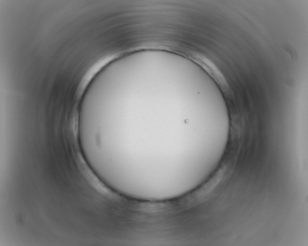 X0000113620804200910161951