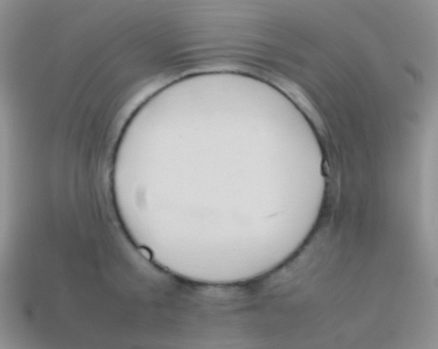X0000113620805200910161951