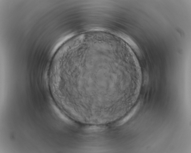 X0000113620806200910161951