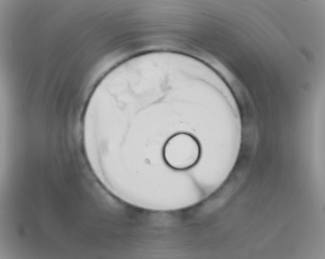 X0000113620807200910161951