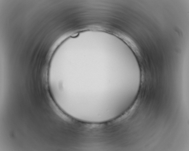 X0000113620808200910161951