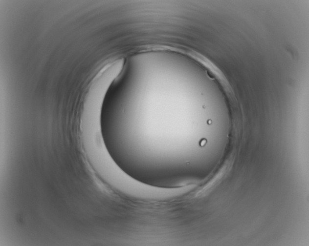 X0000113620809200910161951