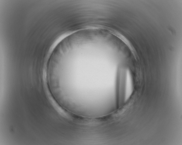 X0000113620811200910161951